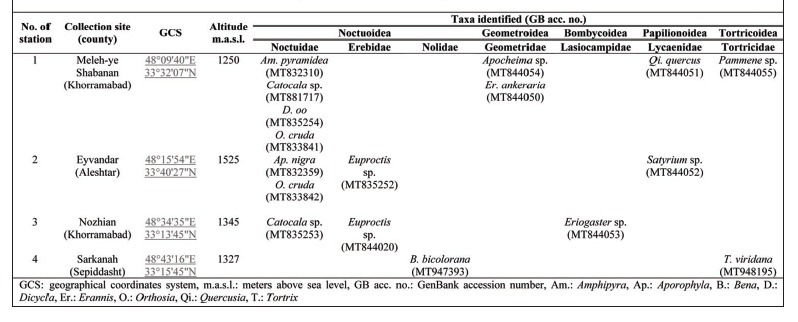 Caterpillars collected un this study and their GenBank data