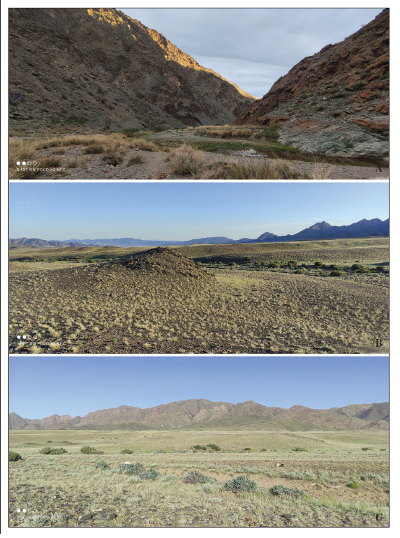 Habitats of the travel. Khovd Aimag. A. Altai Sum, 22 km NNW of Altai. B, C. Bulgan Sum, 19 km NE of Bulgan.