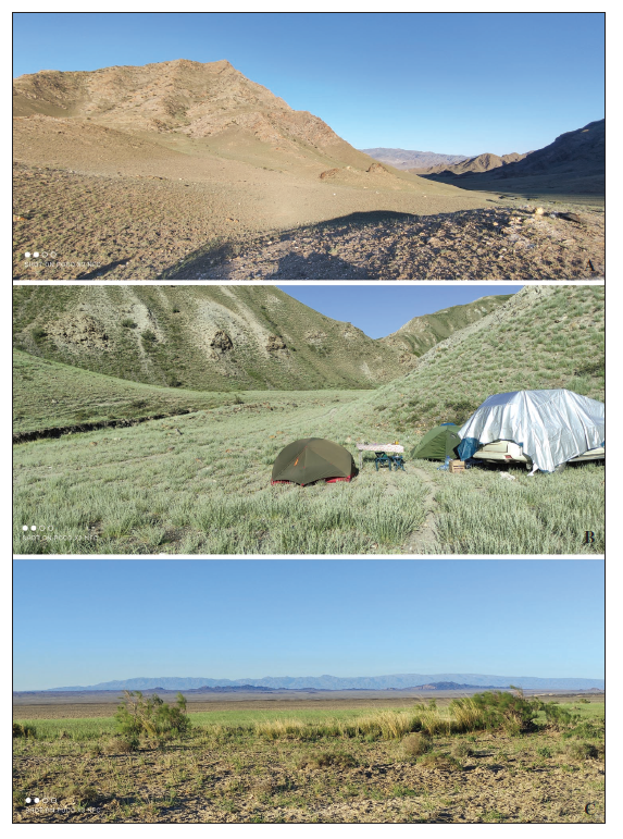 Habitats of the travel. Khovd Aimag. A. Bulgan Sum, 27 km NNW of Burenkhairkhan. B. Bulgan Sum, 30 km NNE of Bulgan; C. Bulgan Sum, 36 km S of Bulgan.