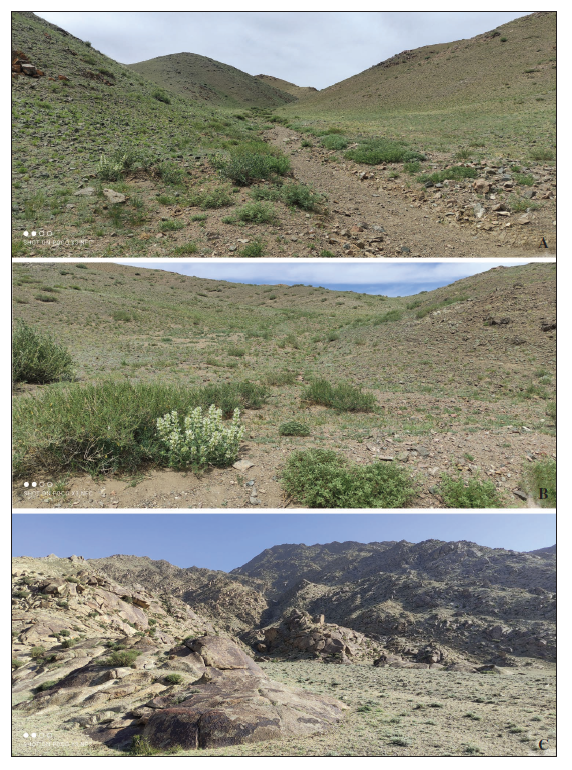 Habitats of the travel, Khovd Aimag. A, B. Darvi Sum, 14 km NWW of Darvi vill. C. Uyench Sum, 10 km NNE of Burenkhairkhan.