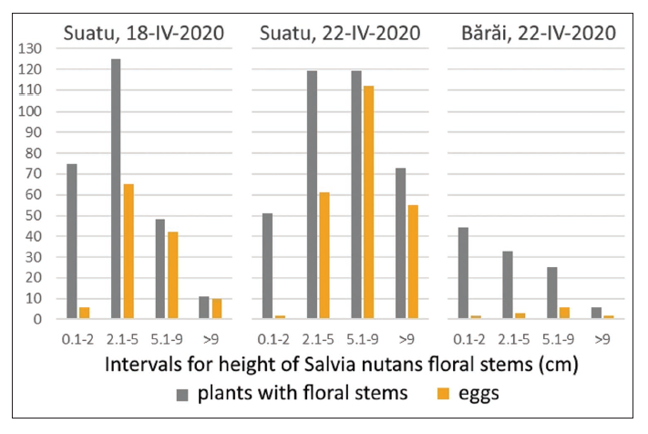Histograms representing the number of S. nutans plants stratified into four categories according to their floral stems height (0-2 cm; 2.1-5.0 cm; 5.1-9.0 cm; >9.0 cm), and the number of P. bavius hungarica eggs found on plants in each height range. Data were recorded in study plots of about 100m2 from Suatu and Bărăi.