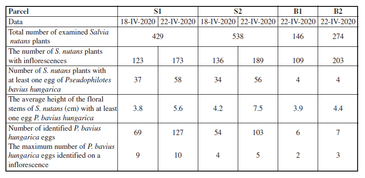 Number of Salvia nutans plants, the number and height of the floral stems and the number of Pseudophilotes bavius hungarica eggs identified in the study areas of Suatu and Bărăi.