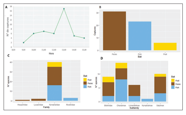 Effectiveness of different types of baits in Van Someren-Rydon traps. A) Variation in catch rate throughout the day. B) Number of individuals caught relative to bait type. C) Number of species from each family caught in each bait type. D) Number of species from each Nymphalidae subfamily caught in each bait type