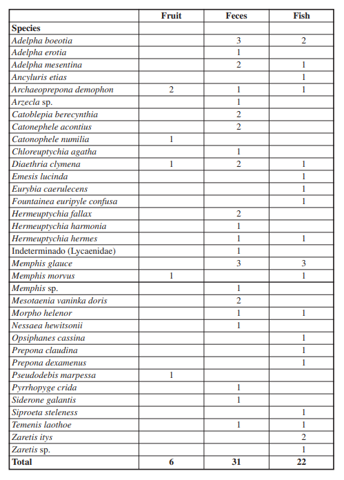 Occurrence of Papilionoidea species in each type of bait. Note that Archaeoprepona demophon and Diaethria clymena visit all three types of baits, that some species visit more than one type of bait and that there are species registered exclusively for one type of bait.