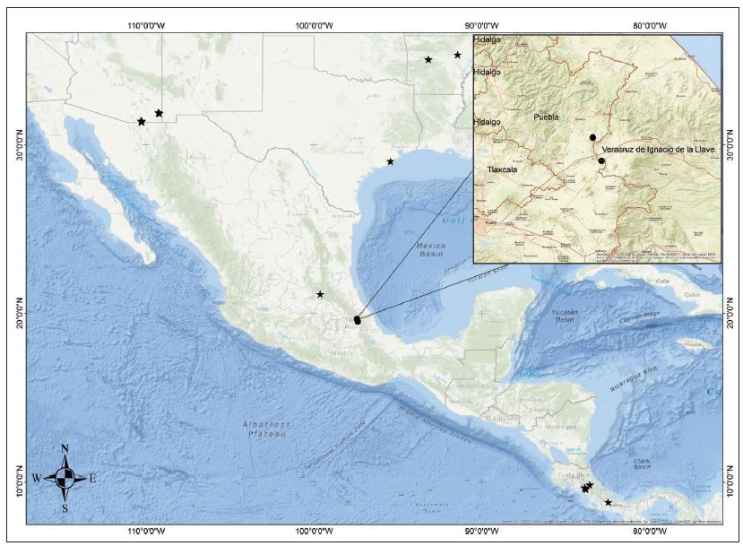 Geographical distribution of Hydropionea fenestralis. Previous records (stars), new records (circles).