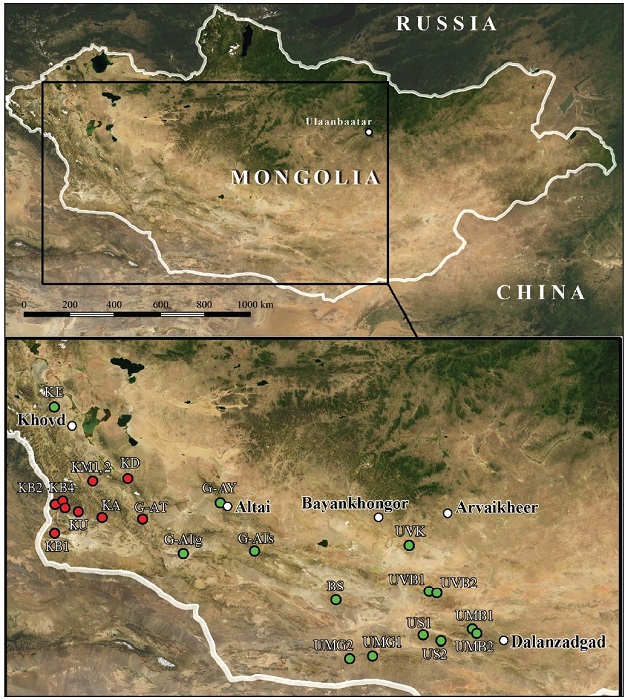 Map of collecting localities. Red circles - the first trip (2022); green circles - the second trip (2023);white circles - administrative centers of the aimags.