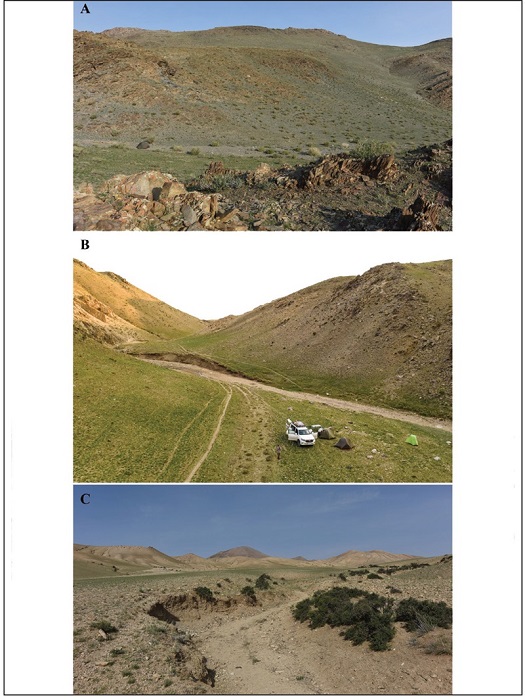 Habitats of the second travel. 
							A. Khovd Aimag, Erdenebren Sum, 50 km NW of Khovd. 
							B. vrkhangai Aimag, Khairkhandulaan Sum, 117 km SW of Arvaikheer (photo by E. Pazhenkova). 
							C. ditto, Bogd Sum, 14 km SE of Bogd, Arts-Bogd Mts. ridge.
						