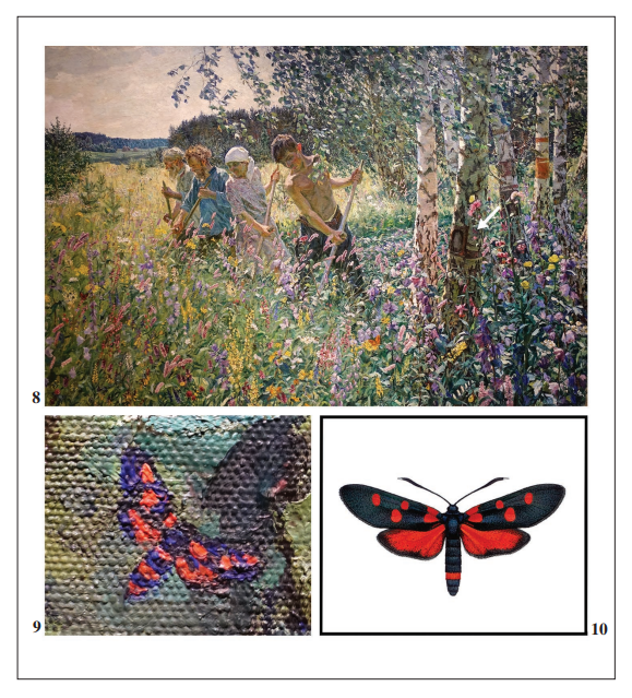 8. A painting by Arkady A. Plastov entitled &ldquo;Haymaking&rdquo; (1945) from the The State Tretyakov Gallery (Moscow, Russia). Arrow shows the position of 
							Zygaena image.9.A detail of the painting by Arkady A. Plastov entitled &ldquo;Haymaking&rdquo; with the image of 
							Zygaena ephialtes (Linnaeus, 1767) having the abdomen with characters of 
							Amata nigricornis (Alph�raky, 1883). 
							10.Zygaena ephialtes (Linnaeus, 1767) morph 
							athamanthae (5-spotted, red, peucedanoid) (ex 
							Efetov, 2005).
						
