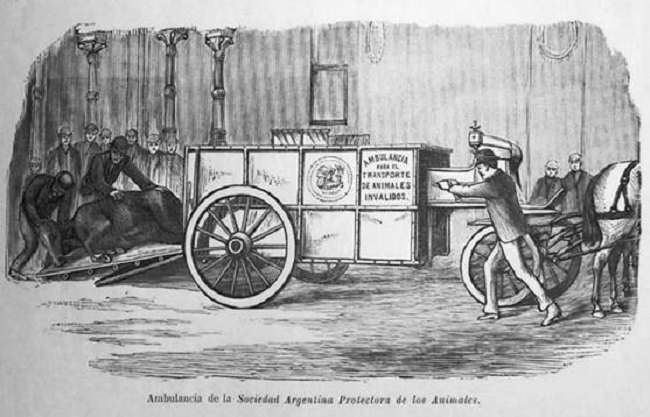 El gran orgullo de la SAPA, la ambulancia para animales solicitada a la Protectora de animales de Nueva York