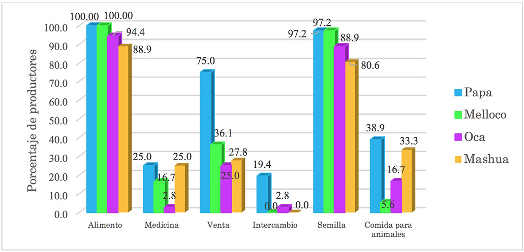 Usos que los productores dan a los tubérculos alto andinos nativos