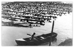 Jangadas construidas en el Alto Paraná entre 1915 y 1920