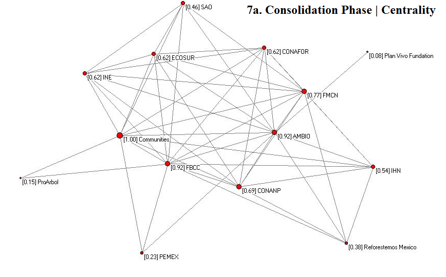 Consolidation phase: whole structure of the Scolel Te network
