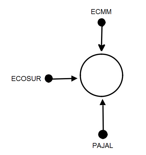 Scolel Te’s productive network: all actors were positive connected