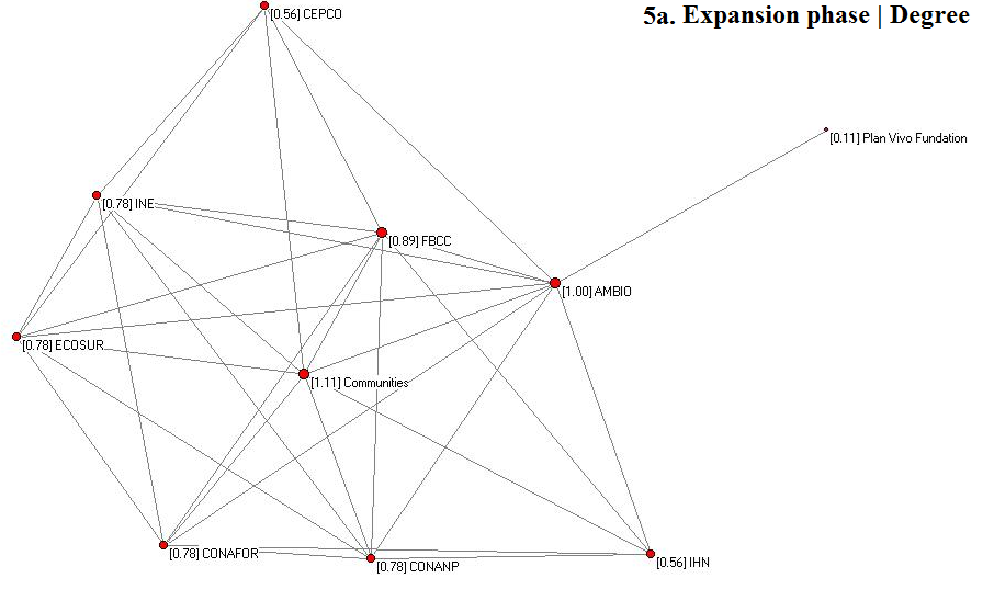 Expansion phase: whole structure of the ScolelTe network
