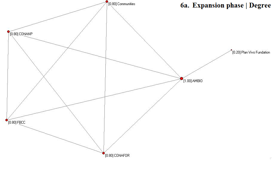 Expansion phase: financial structure of Scolel Te network