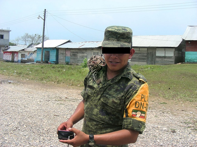 Militar con cachorro de felino silvestre afuera del cuartel militar de San Quint&iacute;n.4