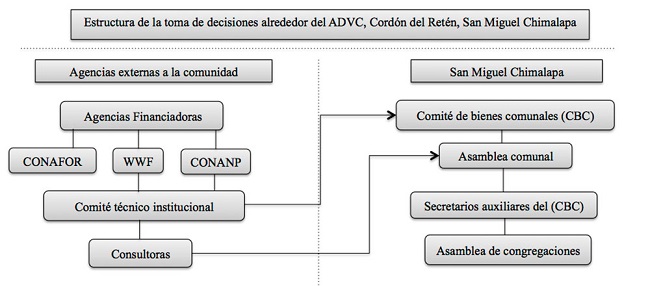 Estructura de toma de decisiones alrededor de ADVC El Cord&oacute;n del Ret&eacute;n.
