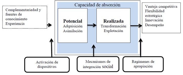 Figura 3. Modelo de Zahra y George.