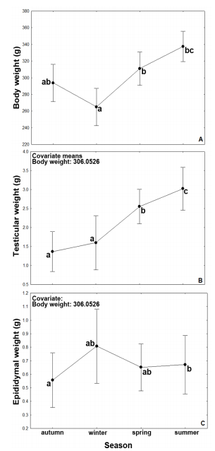 Seasonal variation of body weight (A), testicular weight (B) and epididymal weight (C) of male southern mountain cavies between 2007 and 2009. Body weight was used as a covariate in the analysis of testicular weight and epididymal weight. Letters (a, b, c) indicate significant differences (Tukey test; P<0.05). Means (&plusmn;SE) are shown.