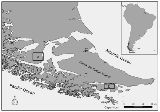 Study area in (a) Brunswick Peninsula (Brunswick) and (b) Navarino Island (Navarino), southern Chile, where presence/absence of invasive North American beaver (Castor canadensis) was examined. Habitat variables were measured in the field and from satellite images (Table 1) along three rivers (Ukika, Guanaco, R&oacute;balo) on Navarino, and three rivers (Hermoso, Turbas, Bitterlich) on Brunswick to generate beaver habitat suitability models as predictive tools to guide management and control efforts.
