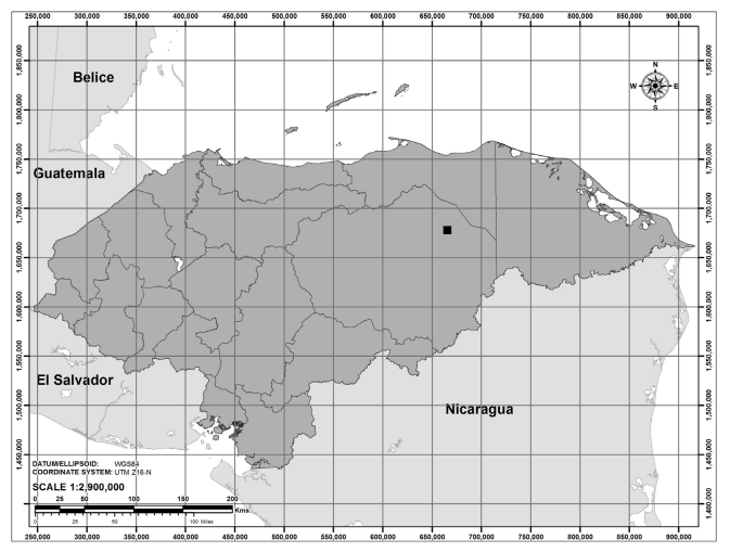 Capture locality (black square) of an albino spider monkey (Ateles geoffroyi) at San Pedro de Pisijire, Dulce Nombre de Culmi, Olancho Department, Honduras (14º32’58.31” N, 85º48’20.79” W). (Map by Jorge Funez).