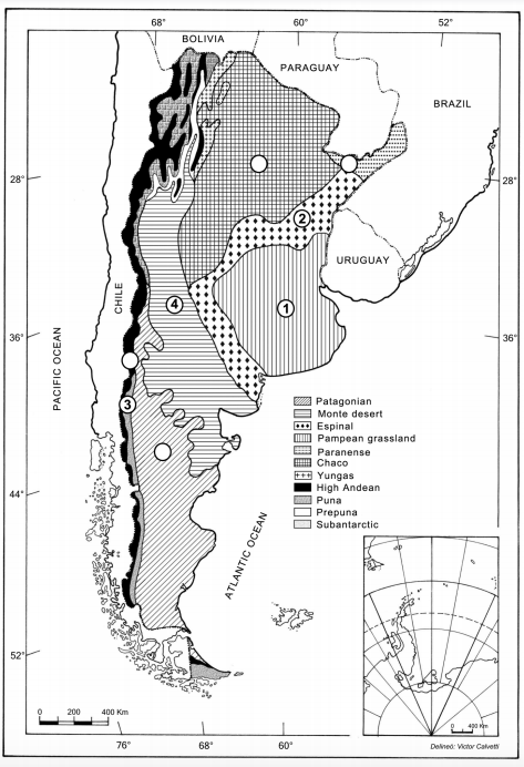 Argentine phytogeographic provinces showing the presence of wild boar (white circles). Numbers indicate provinces with ecological and ecosystem impact information of the species. Map extracted from Katinas et al., 2007.