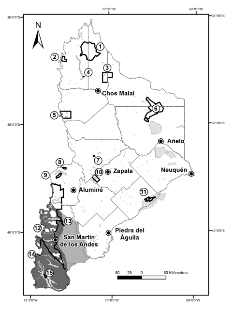 Distribuci&oacute;n del vis&oacute;n americano Neovison vison en la provincia de Neuqu&eacute;n. En gris oscuro se muestra el &aacute;rea invadida hasta 2006 (Fasola et al., 2011) y en gris medio se muestran las &aacute;reas invadidas desde esa fecha hasta 2015 (en el sur de la provincia hacia el este del PN Lan&iacute;n, que incluye el valle de los r&iacute;os Coll&oacute;n Cura y Limay, y en el r&iacute;o Limay al sur de Piedra del &Aacute;guila, mientras que en el norte hubo registros sobre el r&iacute;o Neuqu&eacute;n entre Manzano Amargo y Huinganco, lindante al ANP Ca&ntilde;ada Molina, al noroeste de Chos Malal). Se indican las principales ciudades, los l&iacute;mites de los departamentos, y los cursos y cuerpos de agua (gris claro). Los n&uacute;meros corresponden a las &aacute;reas protegidas nacionales (PN) y provinciales (ANP): (1) ANP Domuyo, (2) ANP Epu Lauquen, (3) ANP El Tromen, (4) ANP Ca&ntilde;ada Molina, (5) ANP Copahue, (6) ANP Auca Mahuida, (7) ANP Cuchillo Cur&aacute;, (8) ANP Batea Mahuida, (9) ANP Cha&ntilde;y, (10) PN Laguna Blanca, (11) ANP El Mangrullo, (12) PN Lan&iacute;n, (13) ANP Boca del Chumehuin, (14) PN Nahuel Huapi y (15) PN Los Arrayanes.