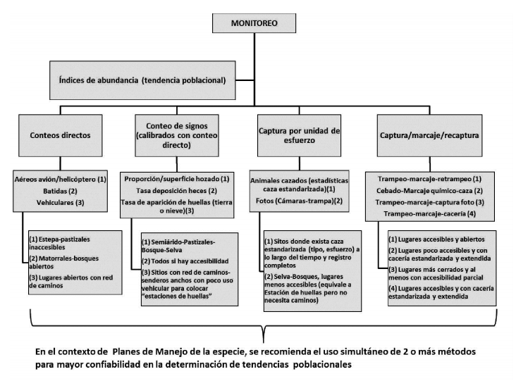 Esquema con propuestas de m&eacute;todos para el monitoreo poblacional del jabal&iacute; seg&uacute;n condiciones ambientales y grado de accesibilidad. La propuesta de m&eacute;todo y su condici&oacute;n de aplicaci&oacute;n se indican mediante la misma numeraci&oacute;n que figura entre par&eacute;ntesis.