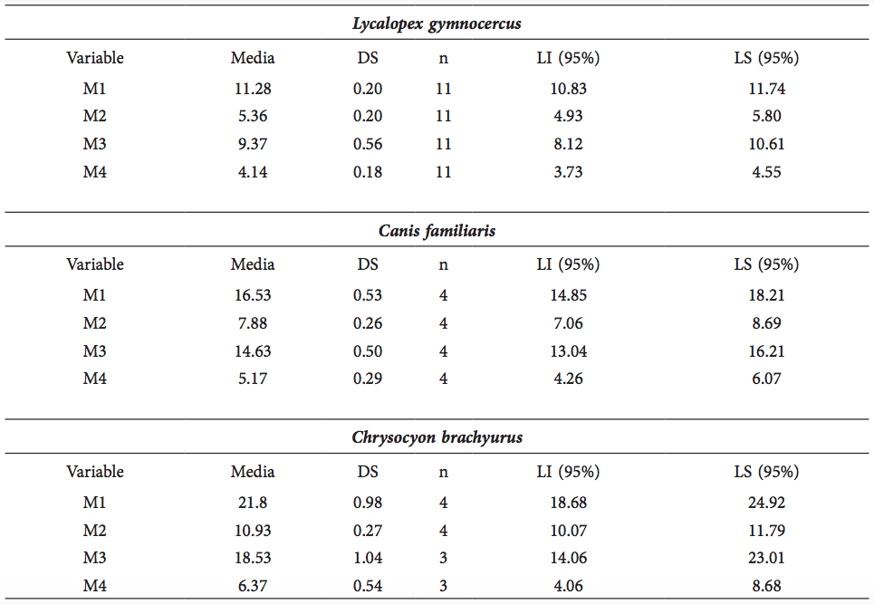 Intervalos de confianza de los valores de los cúbitos detallados en el Material Suplementario 1. Valores expresados en mm. DS=desvío estándar. LI=límite inferior. LS=límite superior. Los 4 valores de C. familiaris incluidos aquí corresponden a los 2 ejemplares de Cerro Mayor, el individuo de Cerro Lutz y el ejemplar de La Malinche.