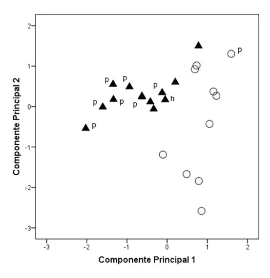 Diagrama de dispersión para los componentes 1 y 2 extraídos del análisis de componentes principales de 16 variables morfométricas de adultos de Eremoryzomys polius sensu stricto (círculos blancos; p=paratipo) y E. mesocaudis sp. nov. (triángulos negros; h=holotipo; p=paratipo).