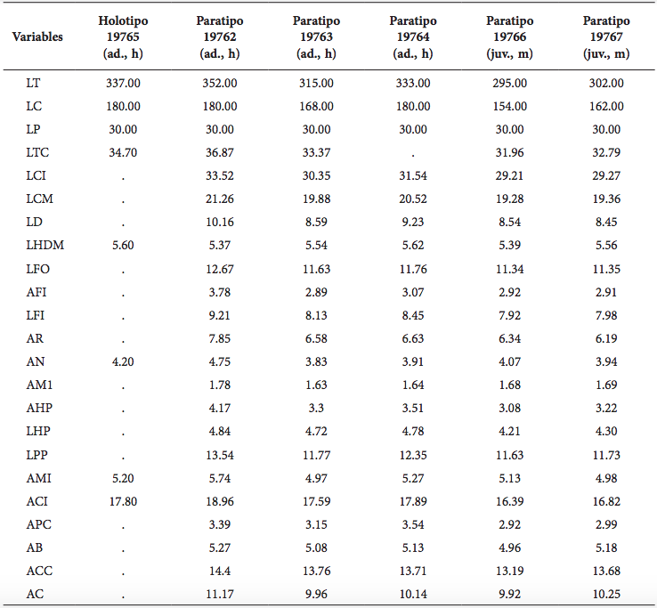 Medidas externas y cráneo-dentarias de la serie tipo de Eremoryzomys polius del distrito de Balsas, provincia Chachapoyas, departamento Amazonas, Perú (FMNH). Estado etario y sexo en paréntesis (ad=adulto, juv=juvenil; h=hembra, m=macho).