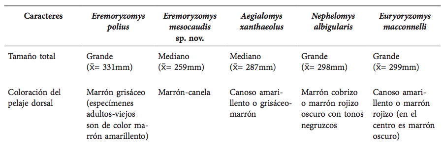 Comparaciones morfológicas entre orizomyinos adultos presentes en el valle del Marañón, Perú. x= promedio.