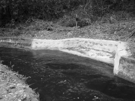 Características y ubicación de una de las escaleras de escape de fauna de los canales de riego.