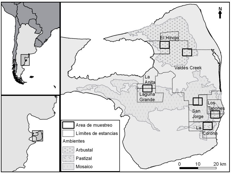 Ubicación geográfica de las seis áreas que fueron consideradas en este trabajo. Se muestran los límites de las estancias en las cuales se trabajó y también de las principales unidades florísticas de la Península Valdés (sensu Bertiller et al., 1981).