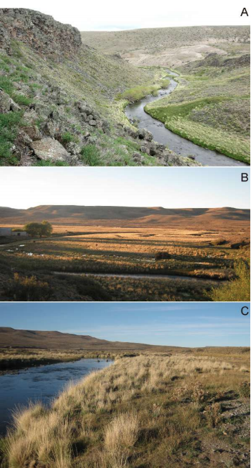 Vistas generales del r&iacute;o Ecker en inmediaciones de la Ea. Casa de Piedra, Santa Cruz, Argentina, aqu&iacute; restringido como localidad t&iacute;pica para Eligmodontia morgani y Ctenomys colburni. A) El Ecker encajonado entre basaltos a pocos metros aguas abajo del casco de la estancia; B) Valle del Ecker frente al casco de la estancia; al fondo la Meseta del lago Buenos Aires; C) Margen derecha del r&iacute;o Ecker &mdash;en primer plano y cribada de tuqueras&mdash; donde actualmente corta la Ruta Nacional 40.