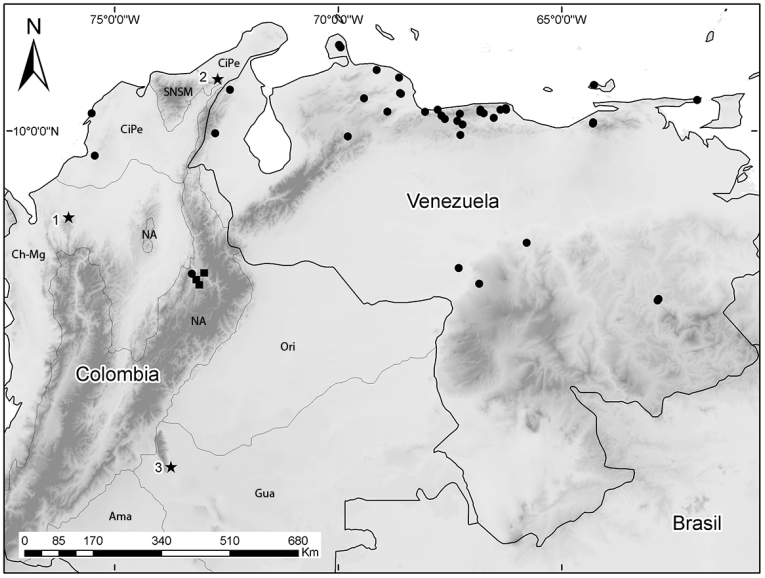 Mapa de localidades de N. tumidirostris que incluye tres nuevas localidades para Colombia (Estrellas), registros de la colección de mamíferos ICN (cuadros) y las localidades reportadas por Tejedor (2011), para Colombia y Venezuela (círculos). Nuevas localidades: 1. Tierralta, Córdoba; 2. Albania, Guajira; 3. Sierra de la Macarena, Meta. En líneas grises se muestran las divisiones de las regiones biogeográficas según Hernández-Camacho et al. (1992); CiPe, Cinturón árido pericaribeño; SNSM, Sierra Nevada de Santa Marta; Ch-Mg, Chocó-Magdalena; NA, Norandina; Ori, Orinoquia; Gua, Guayana; Ama, Amazonia.