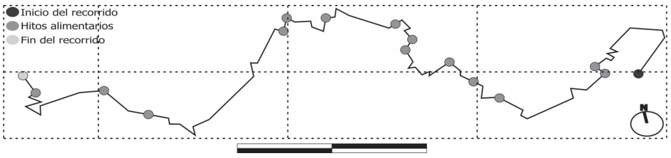 Detalle de recorrido realizado por T. matacus en la provincia de Córdoba con sus hitos comportamentales. Barra = 50 m.