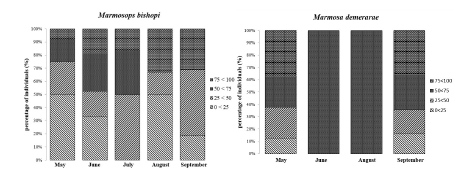 Diagrammatical columns
of the stomachic repletion index of Marmosa demerarae and Marmosops
bishopi in forest fragments during the period from May to September (Rd1 = 0<25,
Rd2 =  25<50, Rd3 = 50 <75 and Rd4  = 75<100).