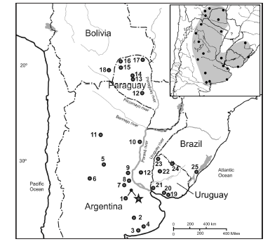 Map of
geographical locations of individuals listed in Table 1. Circles
represent localities sampled in the present study; the star corresponds to the
type locality of the neotype designated herein for Calomys laucha. The
inset depicts the distributional range of C. laucha based on marginal
localities (modified from Salazar-Bravo, 2015).