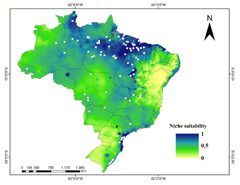 Ecological
niche model for Speothos venaticus, performed in MaxEnt software. The
occurrence points collected in the literature data and bioclimatic variables
were used to predict the species distribution in Brazil. Our record (black
star) it is inserted in a region with a suitability value of 0.24 within the
model.