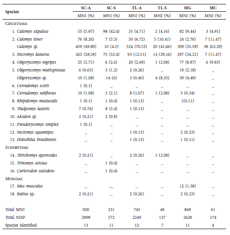 Rodentia found in owl pellets in Salitre
Cave (SC), Peter Lund Natural Monument, Cordisburgo; Toca do Lixo (TL) and
Mariposa Cave (MC), Sumidouro State Park, Pedro Leopoldo / Lagoa Santa; Mata
Grande Cave (MG), Sete Lagoas. MNI = minimum number
of individuals. NISP = sum of all the fragments of the taxon. Modern superficial: SC-A,
TL-A, MG, MC. Modern stratified: SC-S, TL-S. (%) Percentage of occurrence.
