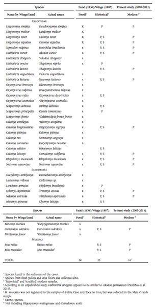 Comparison of Historical community (specimens of rodents collected in the Lagoa Santa region in the XIXcentury) and Modern community. P = specimens found in the owl pellets in the caves; S = specimens withskin collected.