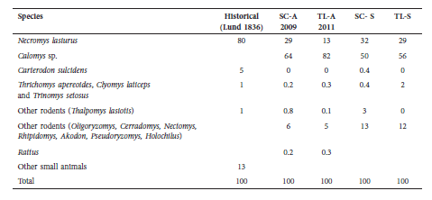 Proportion of specimens in owl pellets described by Lund (1836), collected in Salitre cave (SC, 2009) and Toca do Lixo (TL, 2011). Modern superficial: SC-A, TL-A. Modern stratified: SC-S, TL-S.