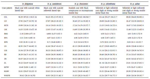 Coloration patterns and measurements (Mean [range] and n) of the species and subspecies of Dasyprocta from Colombia. Abbreviations of the measurements in the text.; n = total of specimens analyzed.