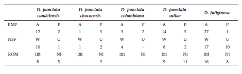 Occurrence of three qualitative skull characters in Dasyprocta from Colombia. PMP: Posterior medial process of the palatine (A, absent; P, present). NSF: Nasofrontal suture (U or W-shaped). OSM: Orbital surface of the maxilla (Int, interrupted by the lacrimal; Ni, not interrupted by the lacrimal). -: No data.