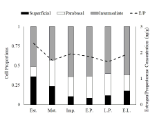 Mean vaginal cell proportions and mean estradiol/progesterone concentrations during different reproductive stages of C. perspicillata during the reproductive period in Colombia. Est. = Estrus, Met. = Metestrus, Imp. = Implantation, E.P. = Early Pregnancy, L.P. = Late Pregnancy, E.L. = Early Lactation.
