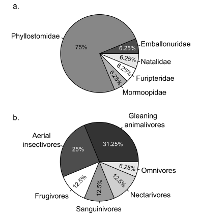 Taxonomic (a) and trophic guild (b) composition of cave bat assemblages in the Caatinga of Rio Grande do Norte State in northeastern Brazil.
