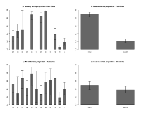 Male proportions of Tadarida brasiliensis sampled at field locations and from specimens housed in museums. A: Monthly proportions from the field samples (only showing the nine months with observational data); B: Seasonal proportions in the observational field sites (COLD = 20 March-22 September, WARM = 23 September-19 March); C: Monthly sex ratio of museum specimens; D: Seasonal sex ratio of the museum specimens. The error bars show exact binomial 95% confidence intervals.