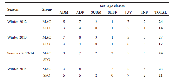 Age composition of Macuco (MAC) and Spot
(SPO) black capuchin groups from Iguazu National Park, Misiones, Argentina, along the study seasons. We
considered adults males (ADM) > 6 years old; adult females (ADF) > 5
years old, subadult males (SUBM) 5-6 years old; subadult females (SUBF) 4-5
years old, juvenile (JUV) males 1-4 and females 1-3 years old, and infants
(INF) < 1 years old.