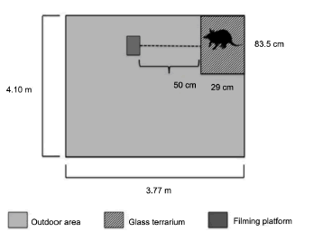 Schematic
of the glass terrarium built inside the former outdoor vivarium where subjects
were observed.
